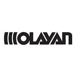 The Olayan Group